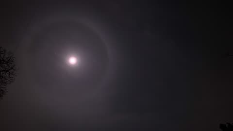 Night Sky Watch - #256 - 7/12/2025 halo