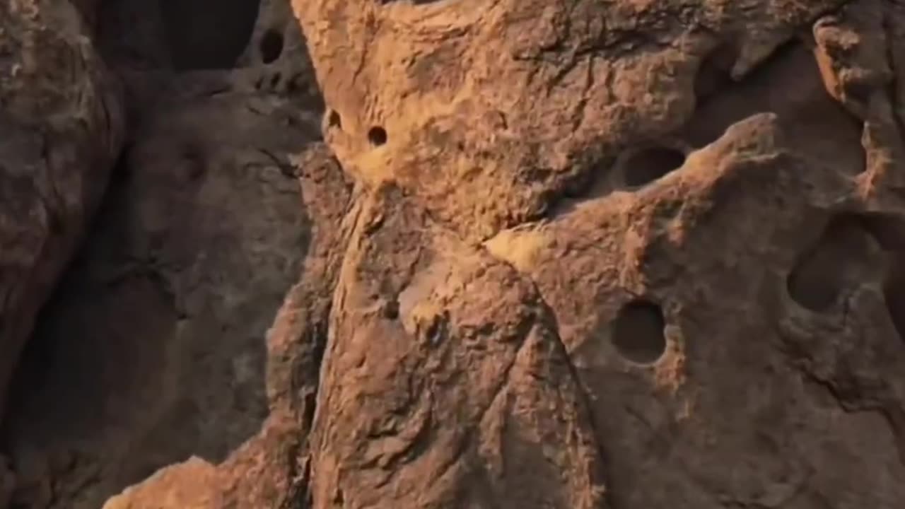 The Mud Flood