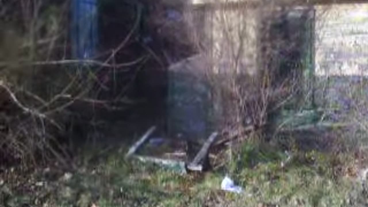 CHEAP PROPERTY IN DETROIT _STOEPEL PROPERTY_THE SHEA SHOW