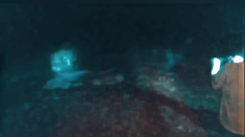 Nailed It! | Target Practice