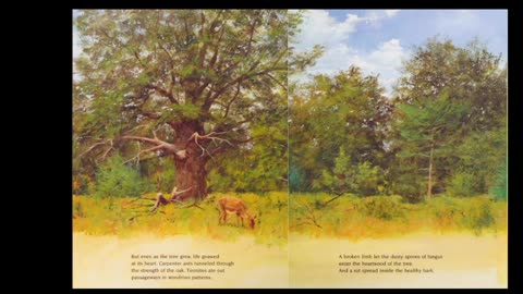 The Gift of the Tree