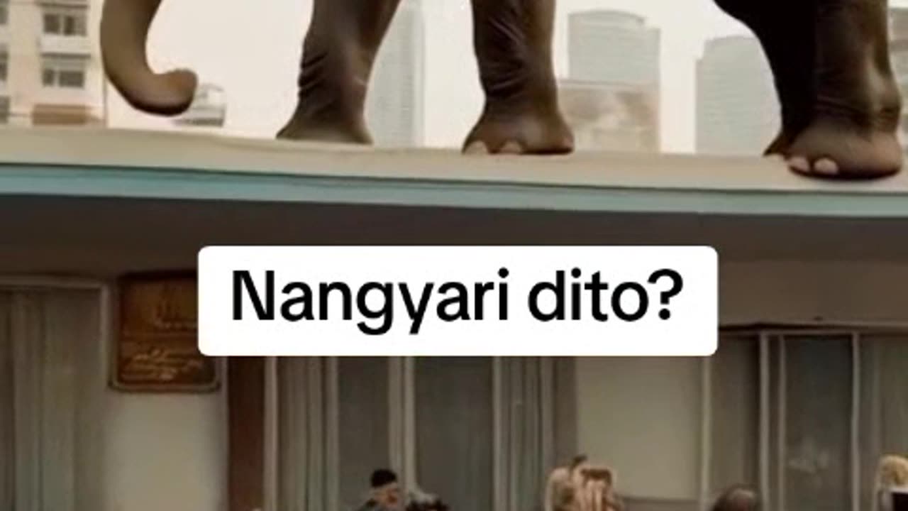 The elephant is stuck on the roof