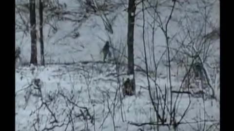 WWII RARE COLOR FILM BATTLE FOR NORWAY PART 2 OF 3