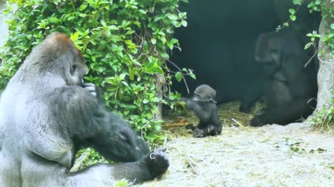 Precious moments with dad and mom