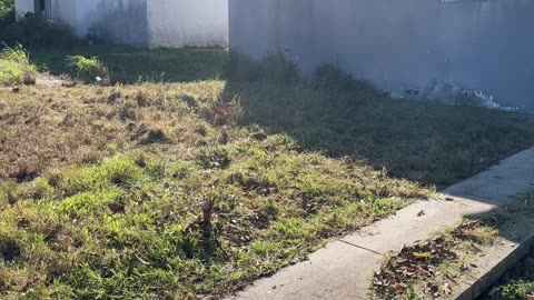 Police Called to Resolve Dispute with Upset Neighbor P3