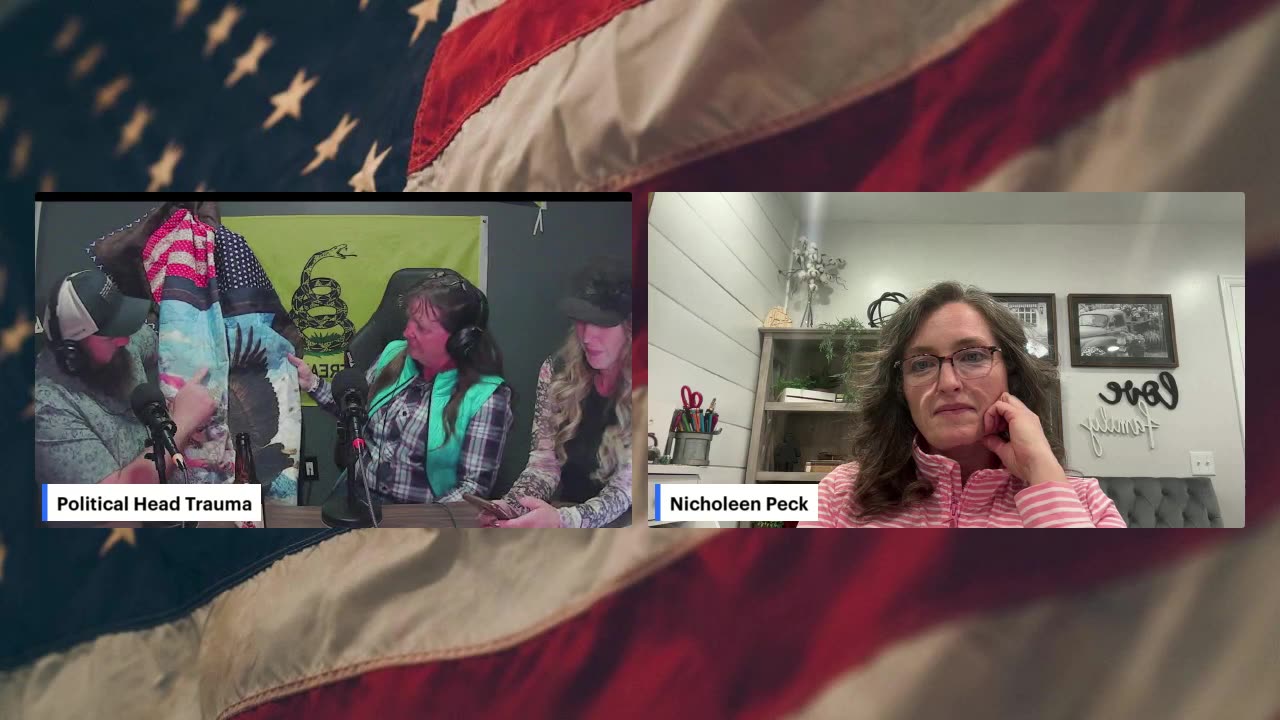 Judicial Election Interference