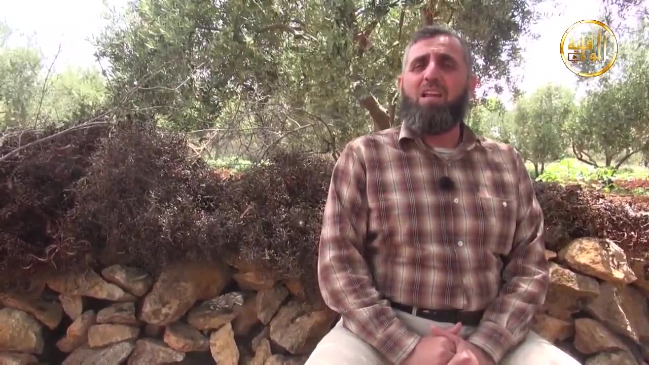 خواطر شامية خيوط العنكبوت