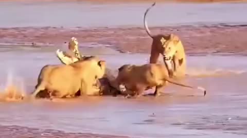 1 against 3
