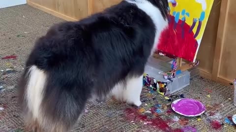 When Your Dog Is a Better Artist Than You