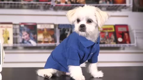 PLURIBUS Episodes 1 2 ENDING EXPLAINED and Breakdown link description