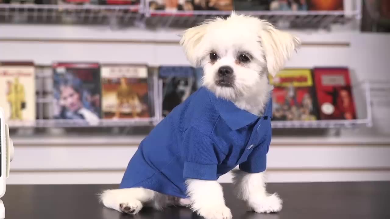 PLURIBUS Episodes 1 2 ENDING EXPLAINED and Breakdown link description