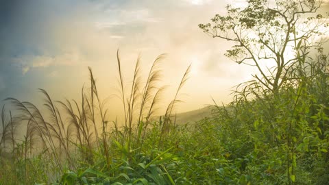 Uranus ♒️ Planet Frequencies Connection 💫