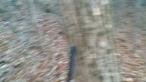 Veterans Hunt 2025 Shot and Weapon Malfunction