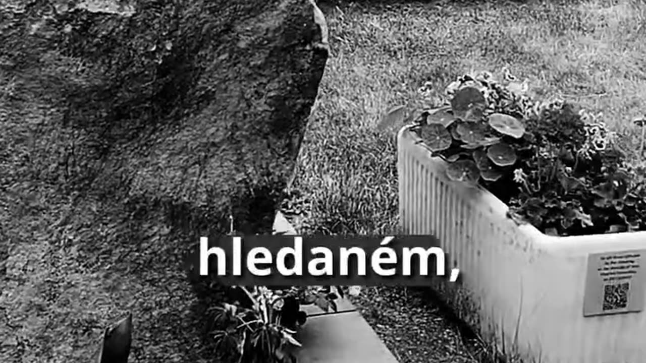 Tragédie FAKULTA - LENKA VĚDĚLA ŽE JSTE LHALI