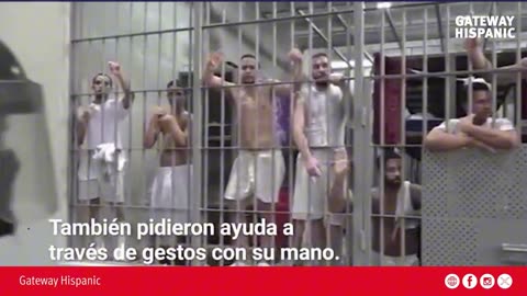 Venezuelans Cry for Freedom After Being Sent to CECOT