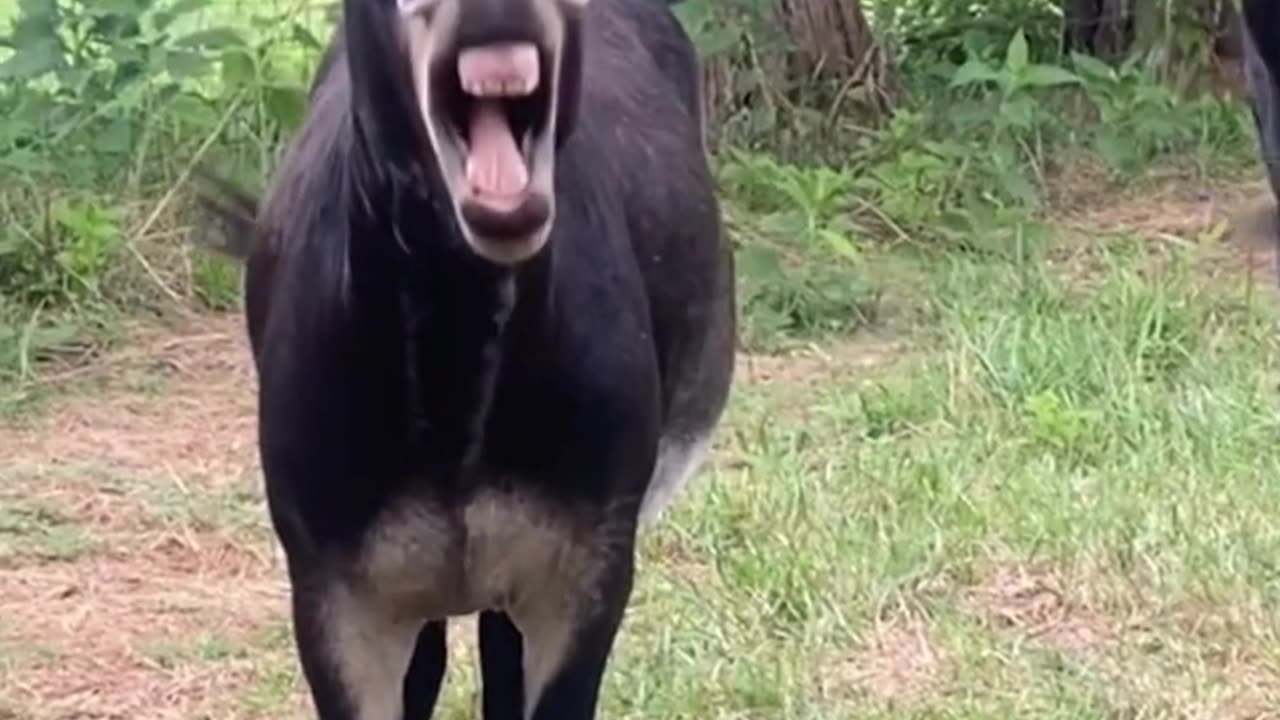 Funniest Way to Lose Weight with Aerobics!😂#Shorts#EPIC FAILS #17#FitnessFails#trending#1million