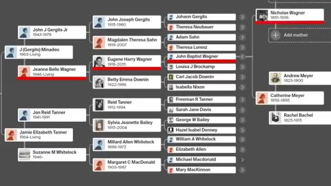 HT'S real lineage Must See!!!!!!