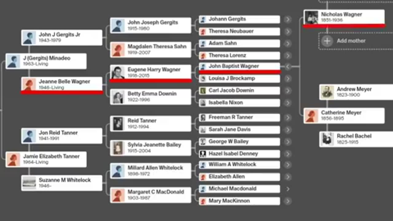 HT'S real lineage Must See!!!!!!