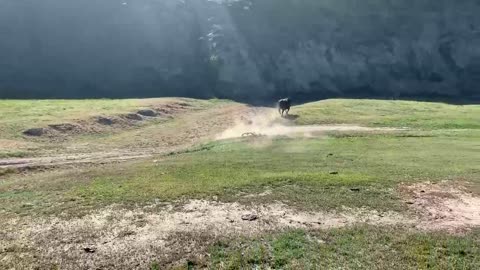 "Hit-and-run" incidents are tragically common in cyclist deaths. They deserve it.