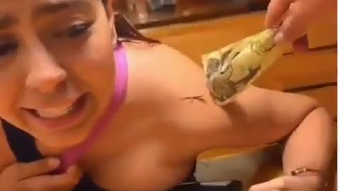 😱🚨 The Most Hilarious Car Insurance Fail! | FunFM