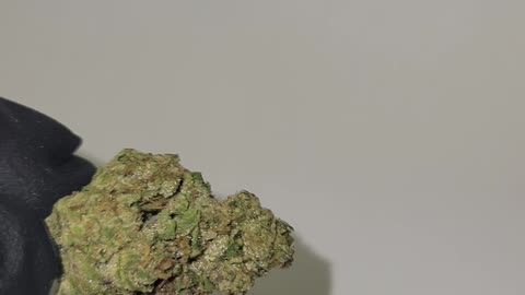 BLUEBERRY RESIN THC FLOWER