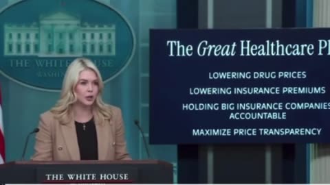 GREAT AMERICAN HEALTHCARE PLAN 🇺🇸