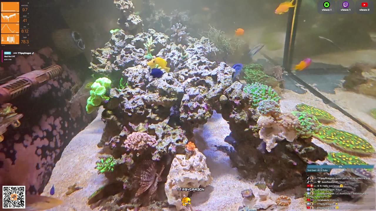 24/7 Real Live Reef Stream