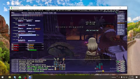 Playing Final Fantasy XI Online