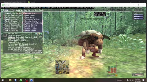Playing Final Fantasy XI Online