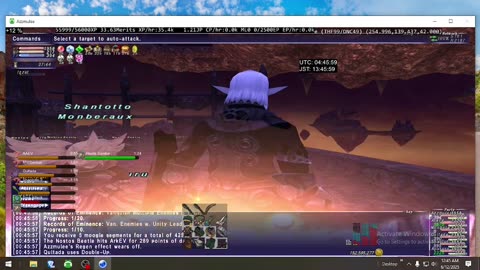Playing Final Fantasy XI Online