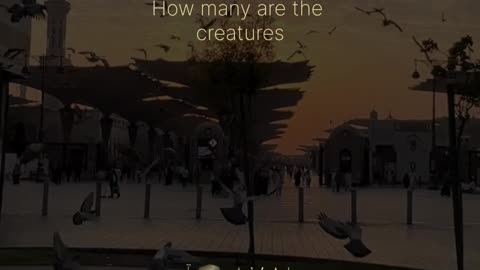 "وَكَأَيِّن مِّن دَابَّةٍ لَّا تَحْمِلُ رِزْقَهَا – العنكبوت ٦٠ | Allah Provides – Surah Ankabut 60"