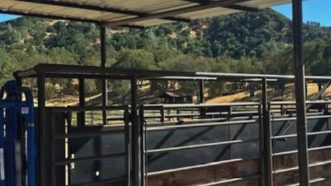 Dealer Spotlight: Southwest Fence and Supply