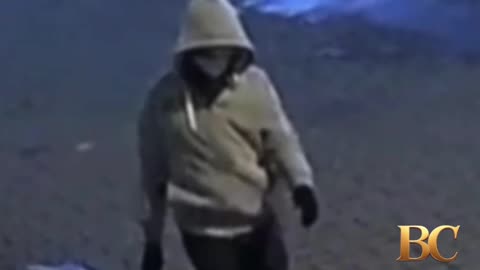 D.C. pipe bomb suspect is ‘potential danger’ to public and must stay in custody ahead of trial