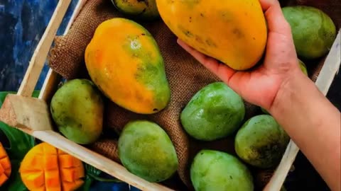 Mango Season 🥭 #mango #mangomania #summerdrink || Robert B. Kaufman