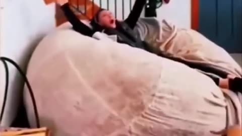 Funny videos