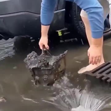 Hochwasser Wasser Deutschland