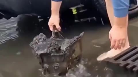 Hochwasser Wasser Deutschland