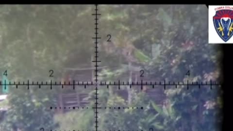🔍🛸 Myanmar War | Cobra Column Sniper Takes Out Junta Officer | RCF