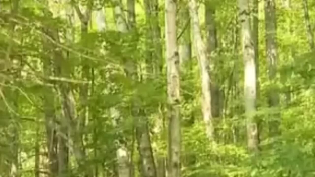 Climate Lockdowns Are Spreading In Canada