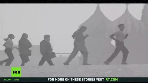 Moscow Mules | Cornered dog bites feeding hands