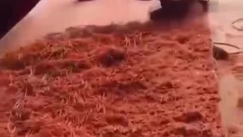 unusual tree