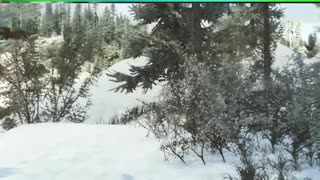 escape from tarkov - Im the grenade man