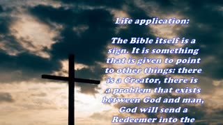 Matthew 12:38 - Daily Bible Verse Commentary