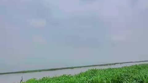 Thuktani Pyar Par #youtubeshorts #bhojpuri #song #mashumdm02 #shortvideo #shorts