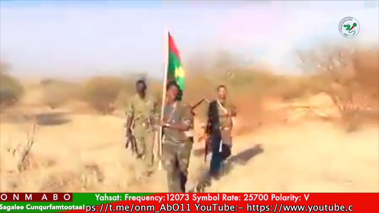 Qophii Humna Weelluu ONM-ABO Bitootessa 25-2025 itti dhiyaadhaa!