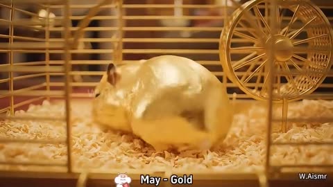 Your month = your hamster#fyp #ai #asmr