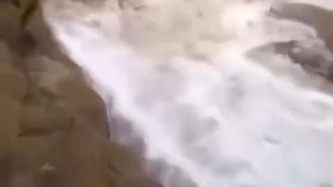 😂💥 Epic Failure of Epic Proportions! | FunFM