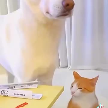 🤣😂 This is hilarious! This video is perfect for my friend Candace! 🤣😂