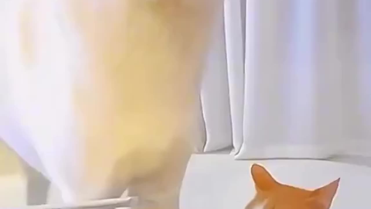 🤣😂 This is hilarious! This video is perfect for my friend Candace! 🤣😂