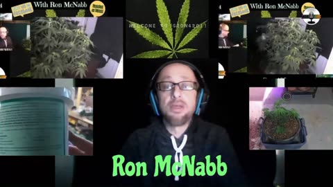 Grow 420 Today